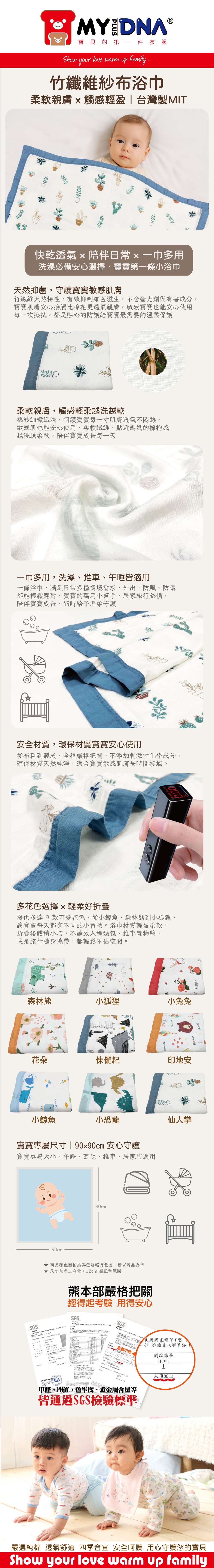 AA597-仙人掌-2025