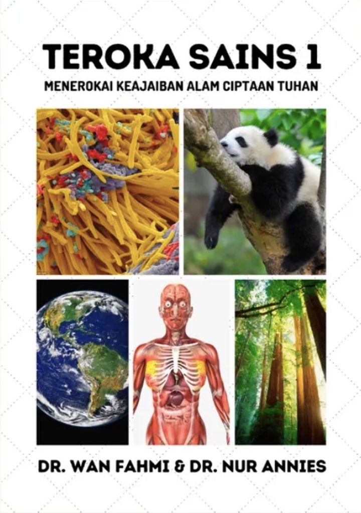 55350839