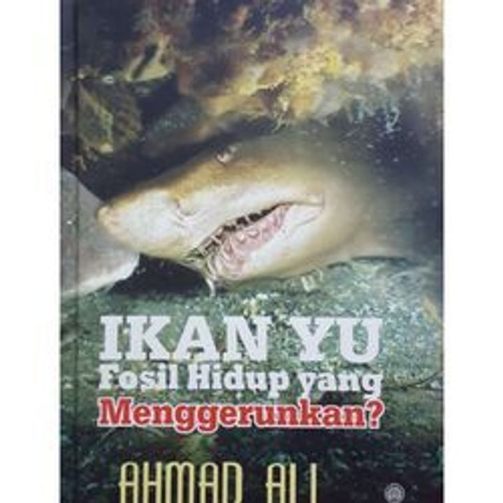 my-11134207-7qul0-lfepvgqjkkrdb9