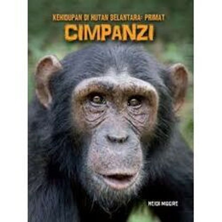 CIMPANZI
