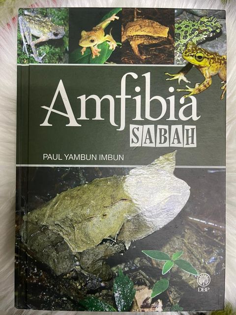 WhatsApp Image 2025-12-23 at 10.07.33 AM