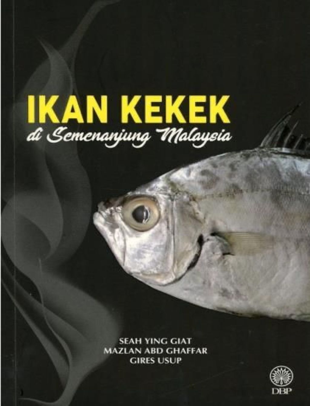 WhatsApp Image 2025-12-23 at 3.43.59 PM