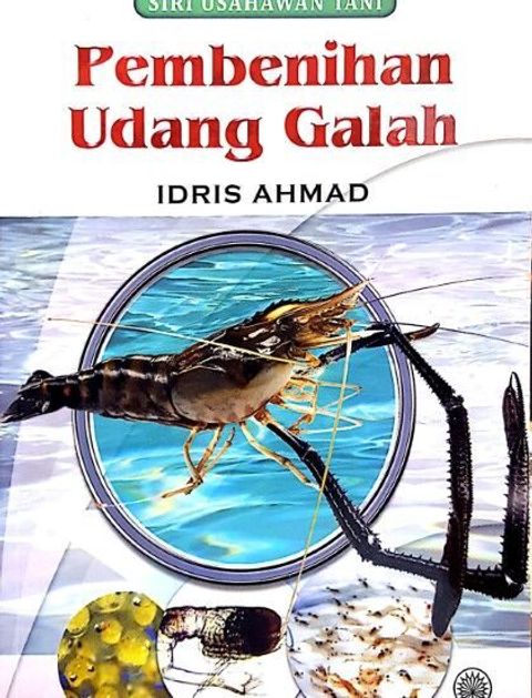 WhatsApp Image 2025-12-23 at 3.48.07 PM