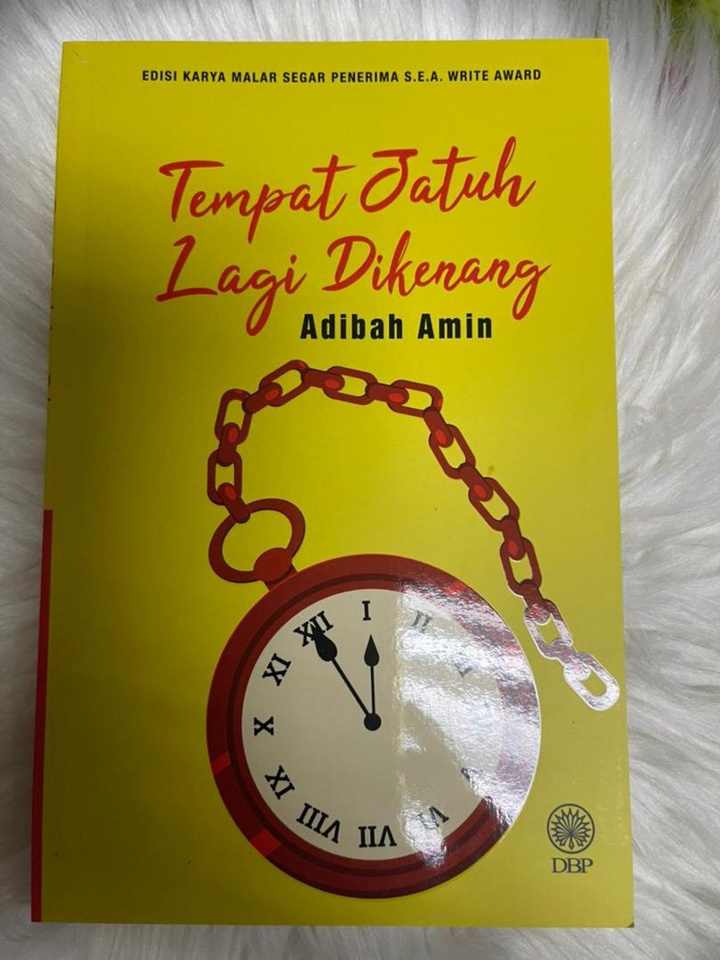 WhatsApp Image 2025-12-31 at 12.36.31 PM (1)