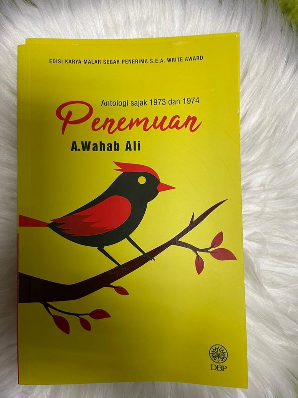 WhatsApp Image 2025-12-31 at 12.36.32 PM (2)