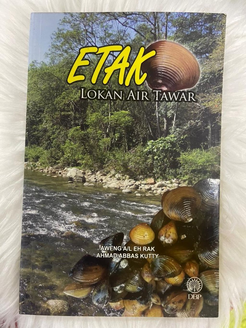 WhatsApp Image 2025-12-31 at 3.51.24 PM