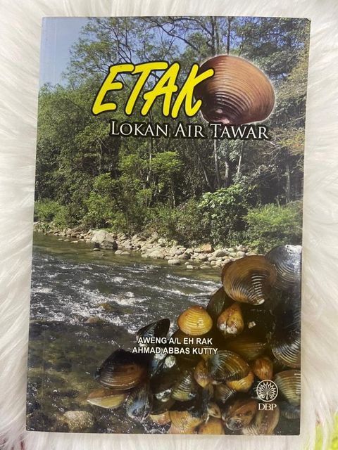 WhatsApp Image 2025-12-31 at 3.51.24 PM