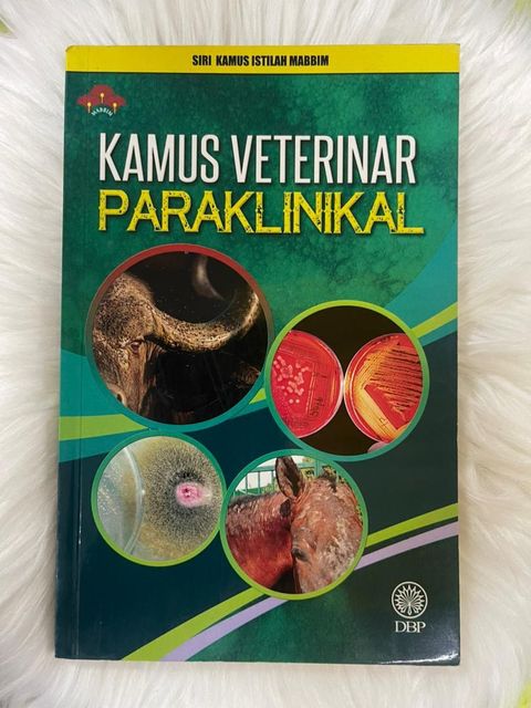 WhatsApp Image 2025-12-31 at 3.54.10 PM