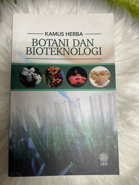 WhatsApp Image 2025-12-31 at 4.20.33 PM