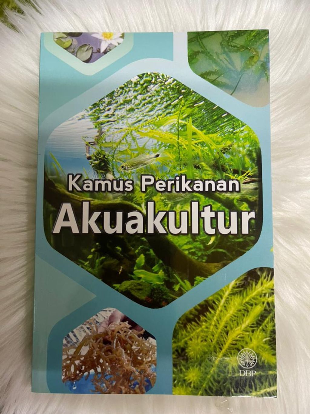 WhatsApp Image 2026-01-02 at 10.58.40 AM