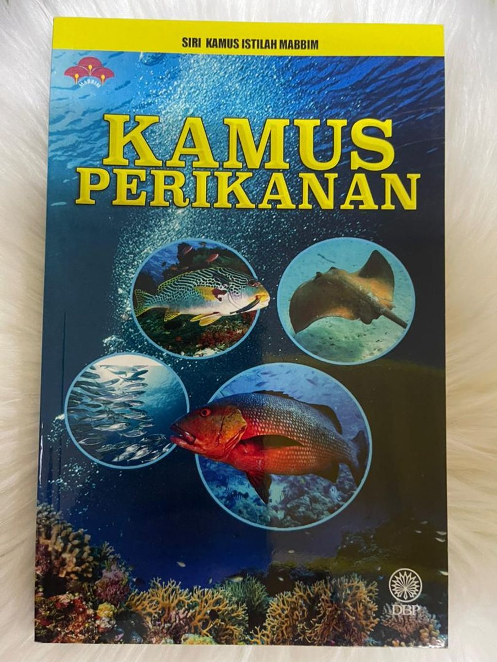 WhatsApp Image 2026-01-02 at 11.07.59 AM