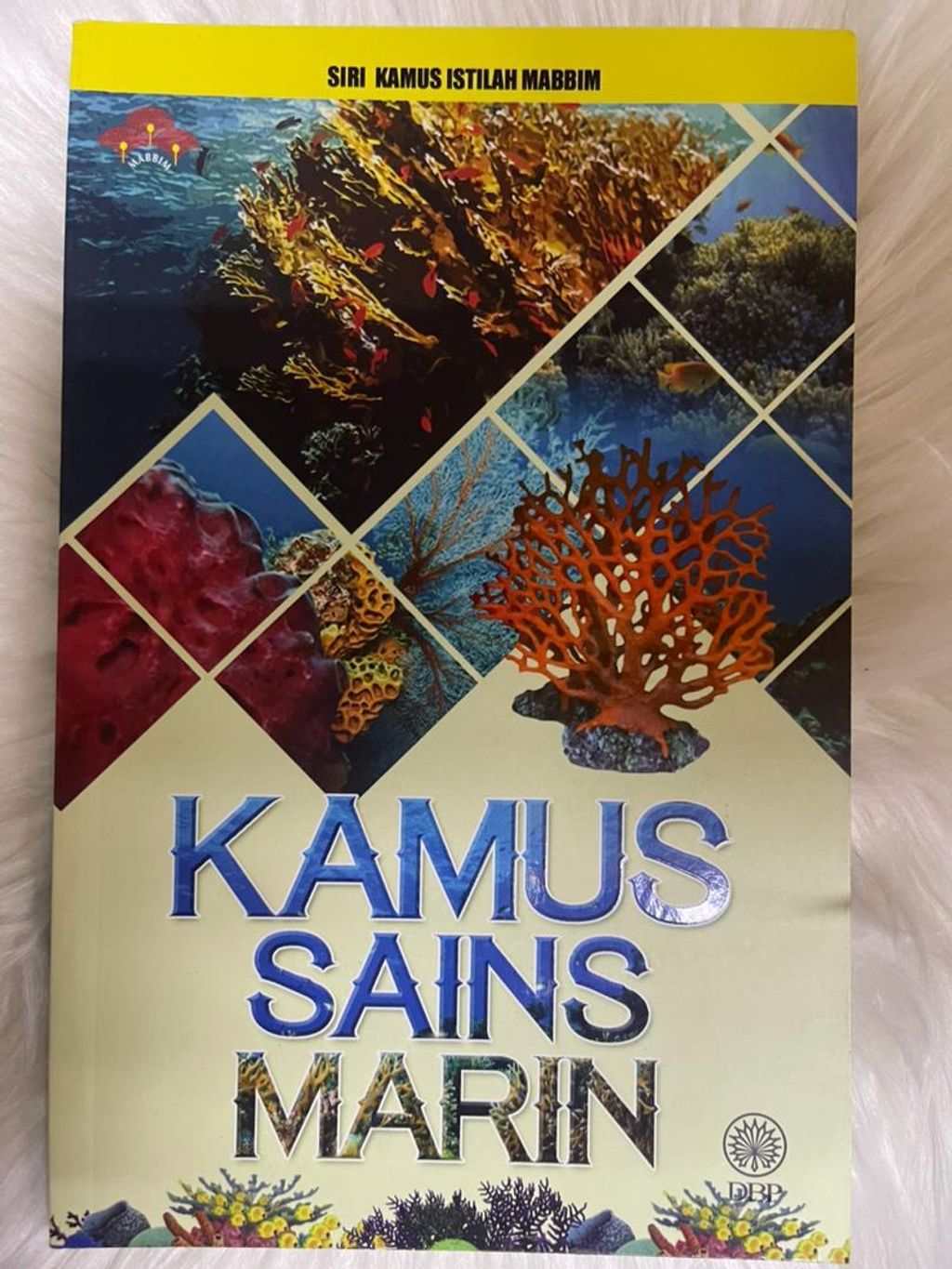 WhatsApp Image 2026-01-02 at 2.28.52 PM