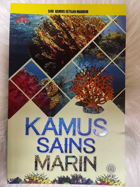 WhatsApp Image 2026-01-02 at 2.28.52 PM