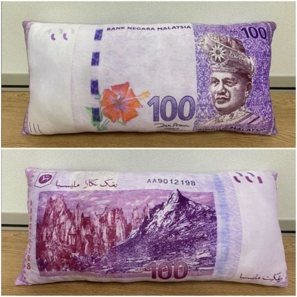 money-pillow-2.jpg