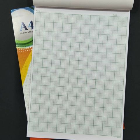Graph-Pad-Sectional-Pad-A4-70gsm-30sheets-i.278809810.6677358058_position=11hdRdmw.jpeg