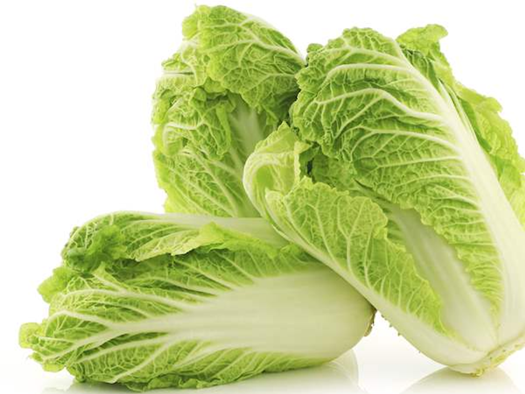 chinese cabbage.png