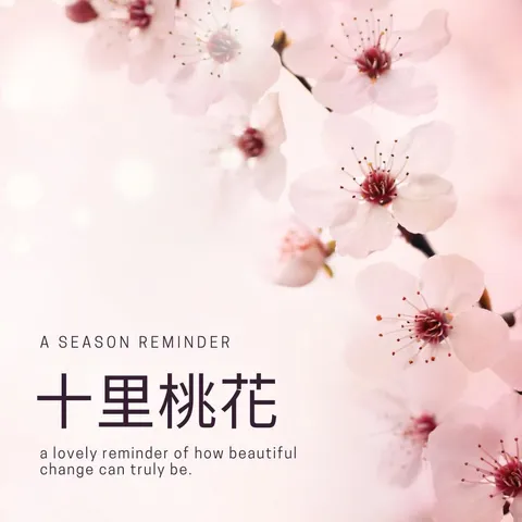 Photo of DAVIDYANG 哥斯大黎加 十里桃花 雙厭氧蜜處理 極淺烘焙 (水蜜桃荔枝)