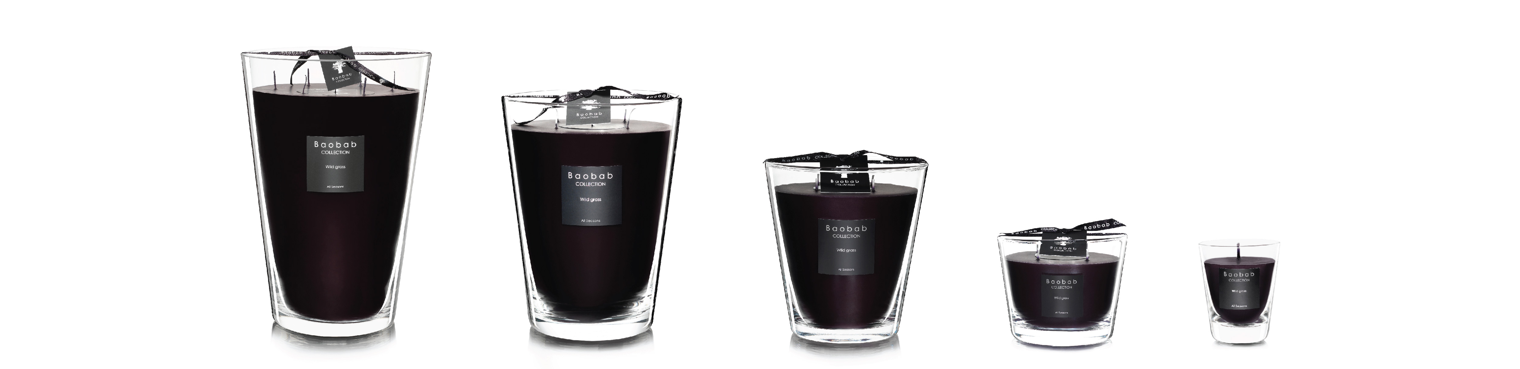 baobab size-16-16.jpg baobab size-16-16.jpg