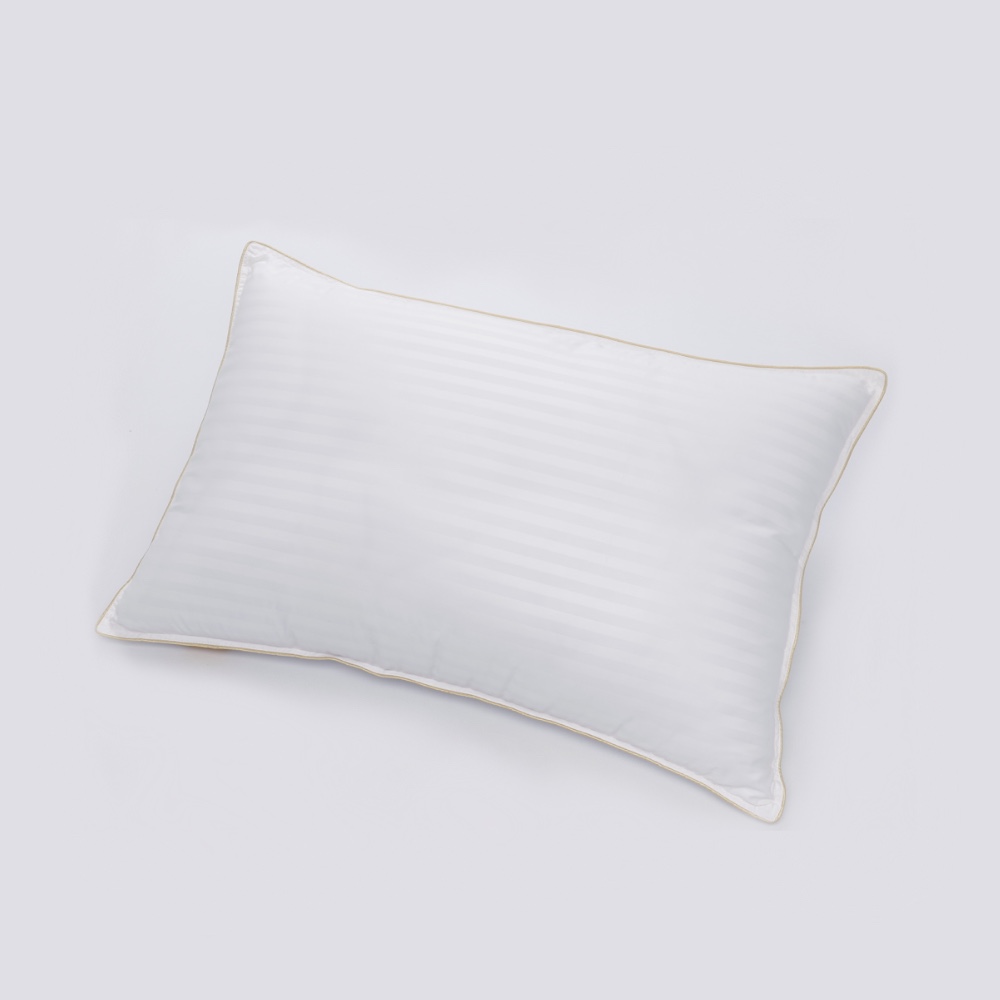1114BE26-B832-4CB0-90A7-BCA237F18BEA.jpeg canopy hotel touch antimite pillow.jpeg