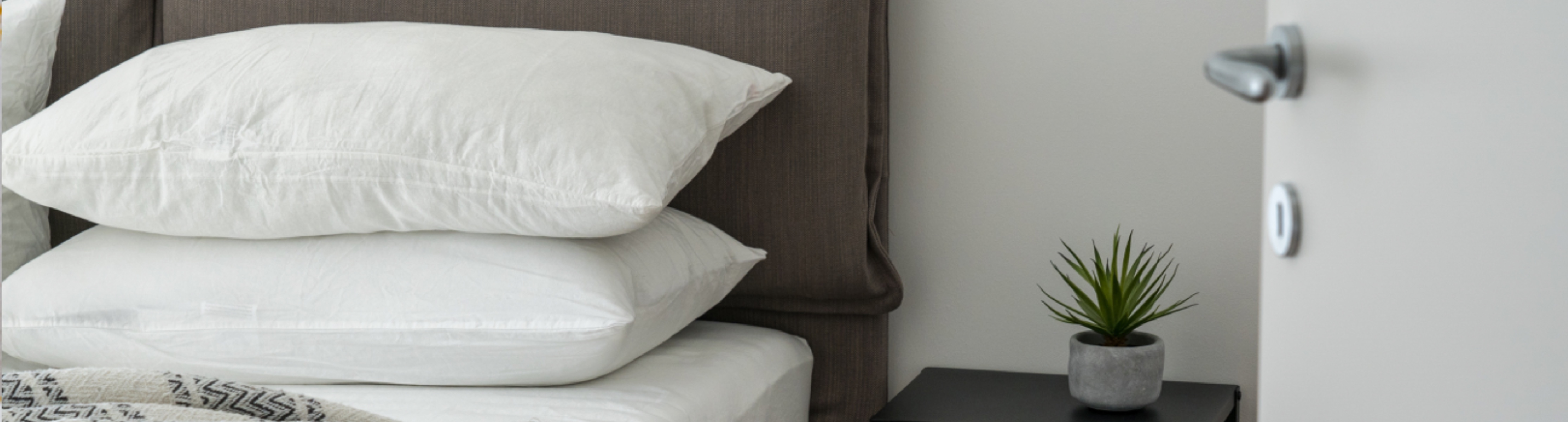 Pillow Covers And Protectors