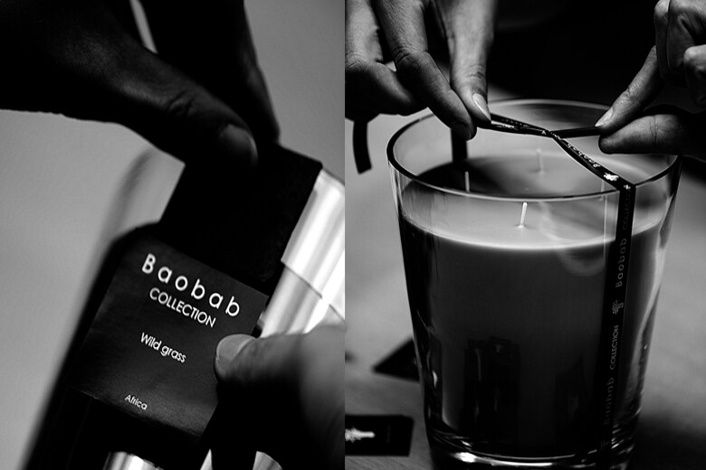 1552319795_baobab-3.jpg 1552319795_baobab-3.jpg