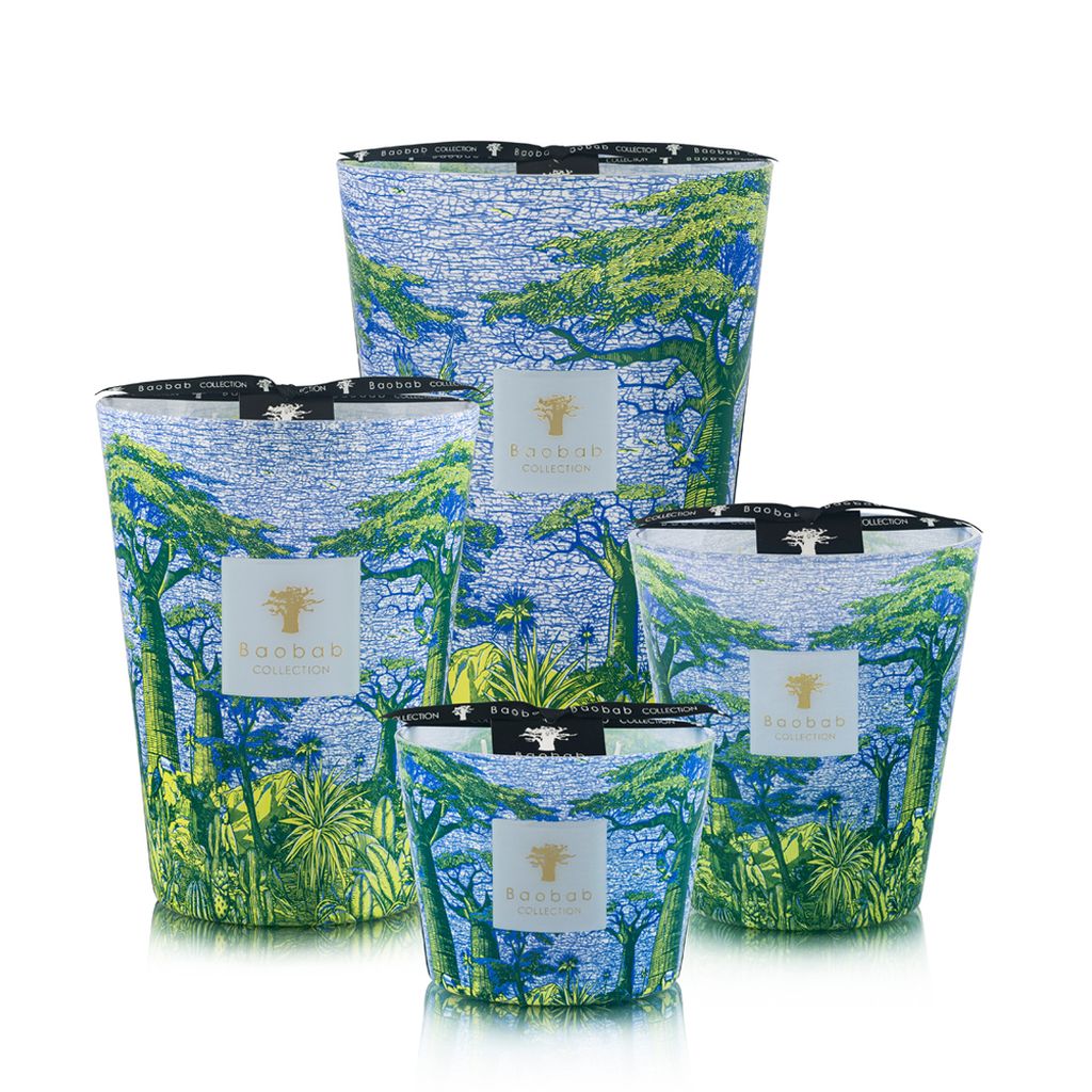 Sacred Trees Summer Yarani-groupshot copy