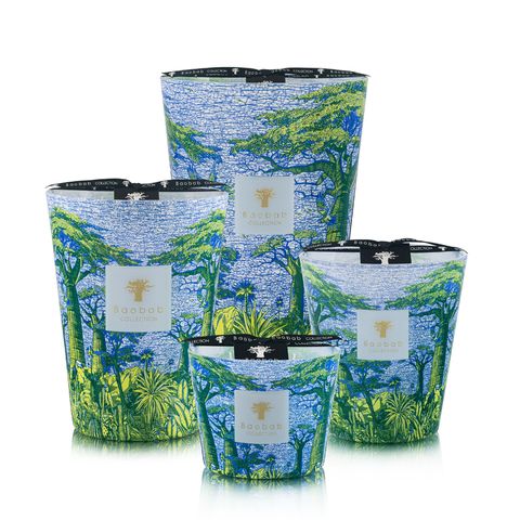 Sacred Trees Summer Yarani-groupshot copy