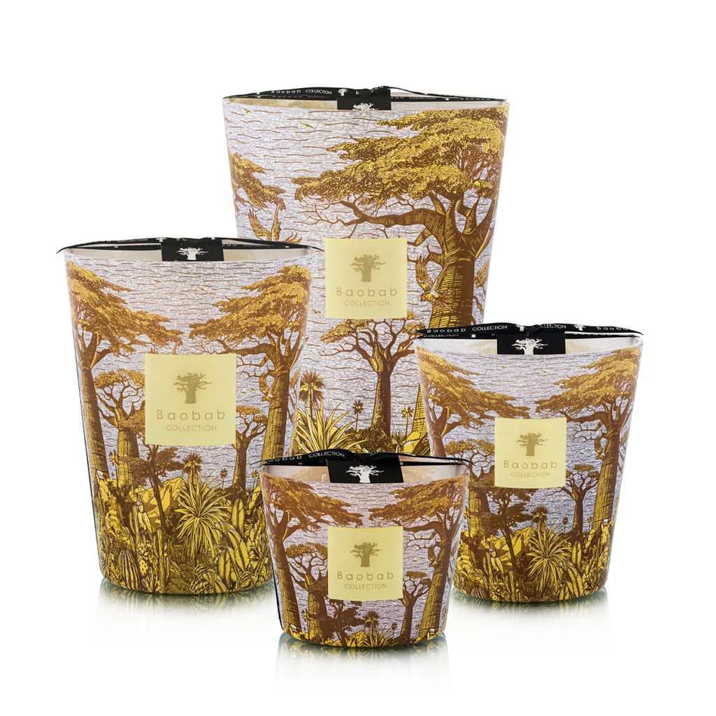 Sacred Trees Summer Cocody-groupshot copy