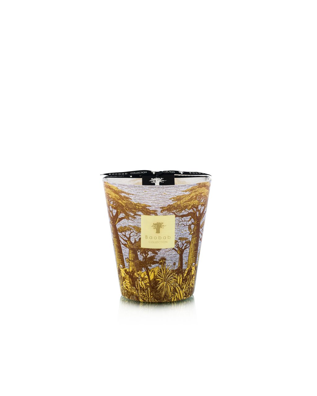 Sacred Trees Summer Cocody-max16