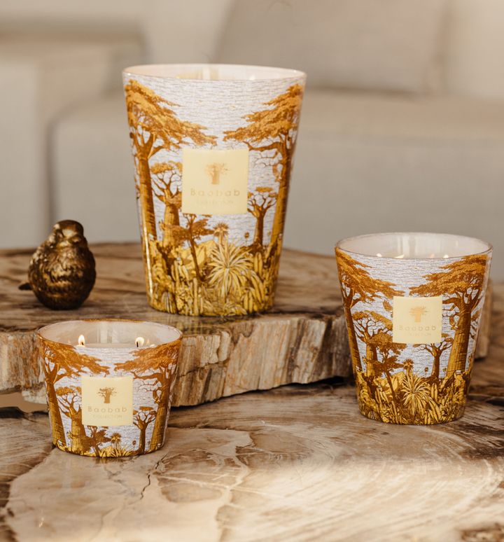 BAOBAB_SS2025-287