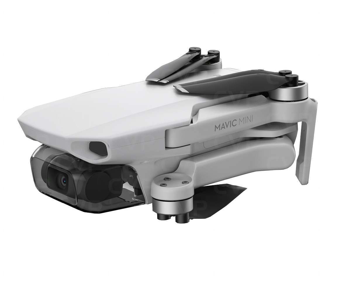 Mavic Mini Everyday Flycam