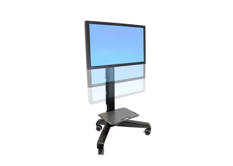 Ergotron Neoflex_1.jpg
