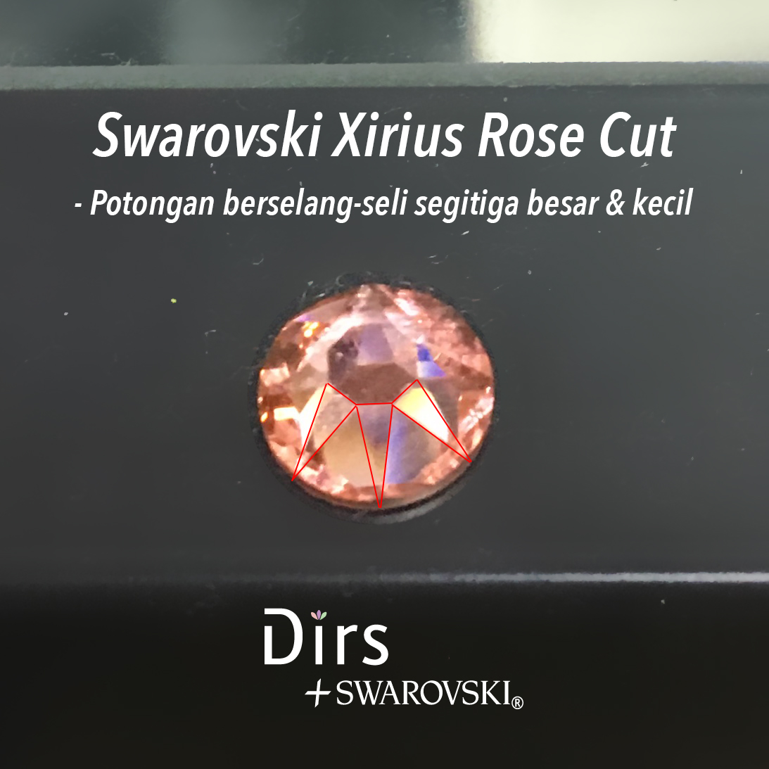 Swarovski Xirius Rose Cut.jpg