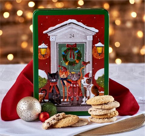 雪地門階上貓咪浮雕盒餅乾