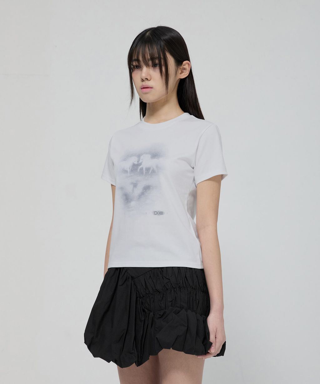 69db1c3b8ece67898d45f6fa848bcf08