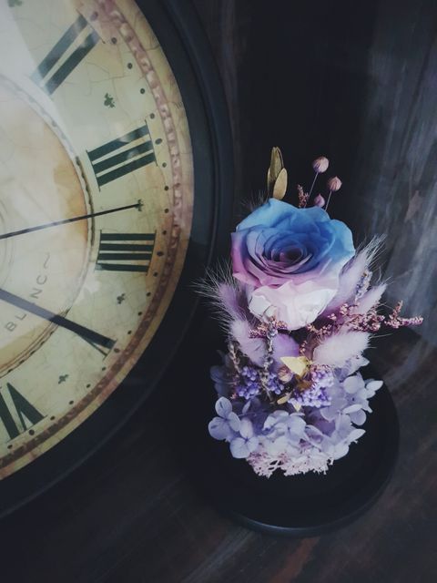 2020-03-08 12.28.56 1.jpg