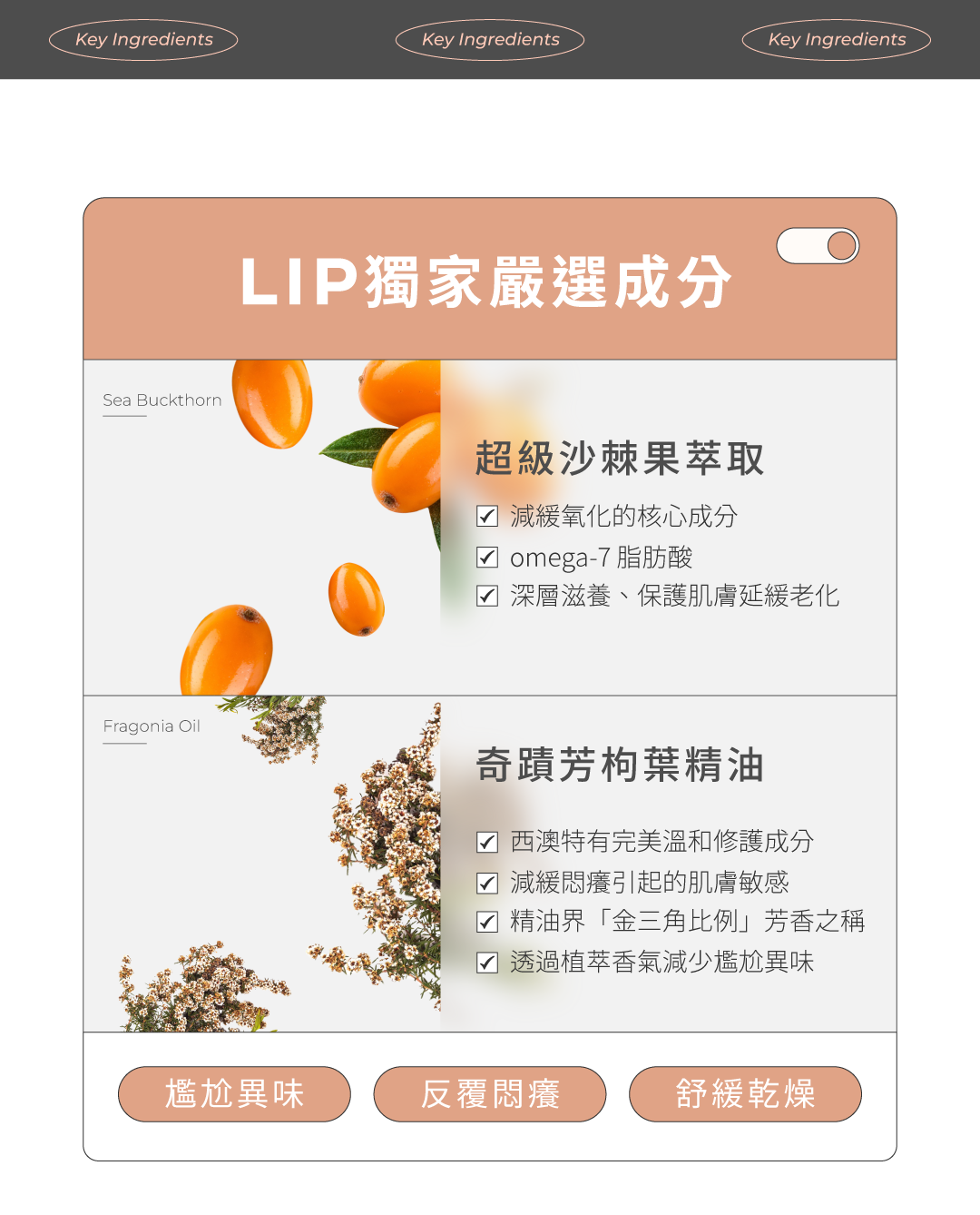 椰子香草成分圖