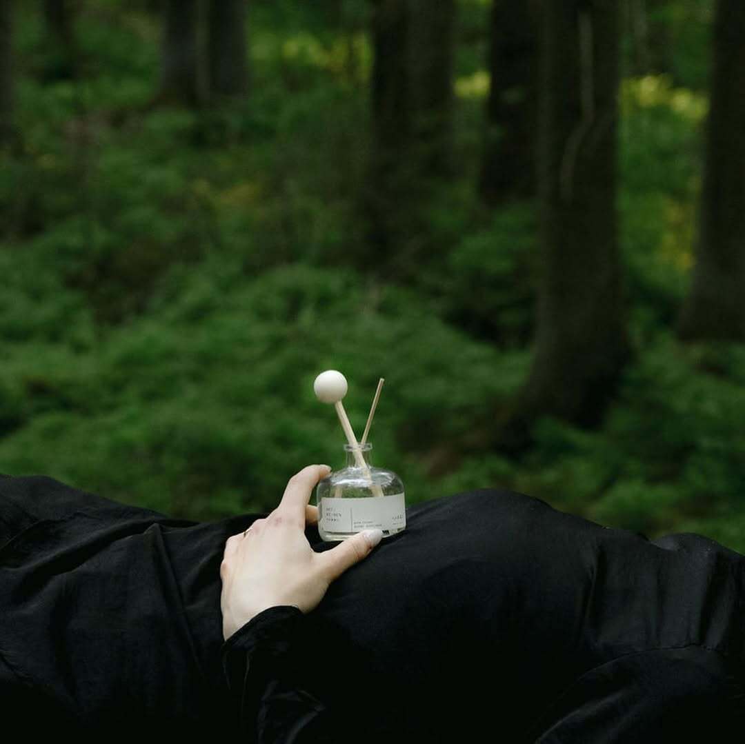 SaveClip.App_491209940_18389713261113485_2218674185656624773_n (1)