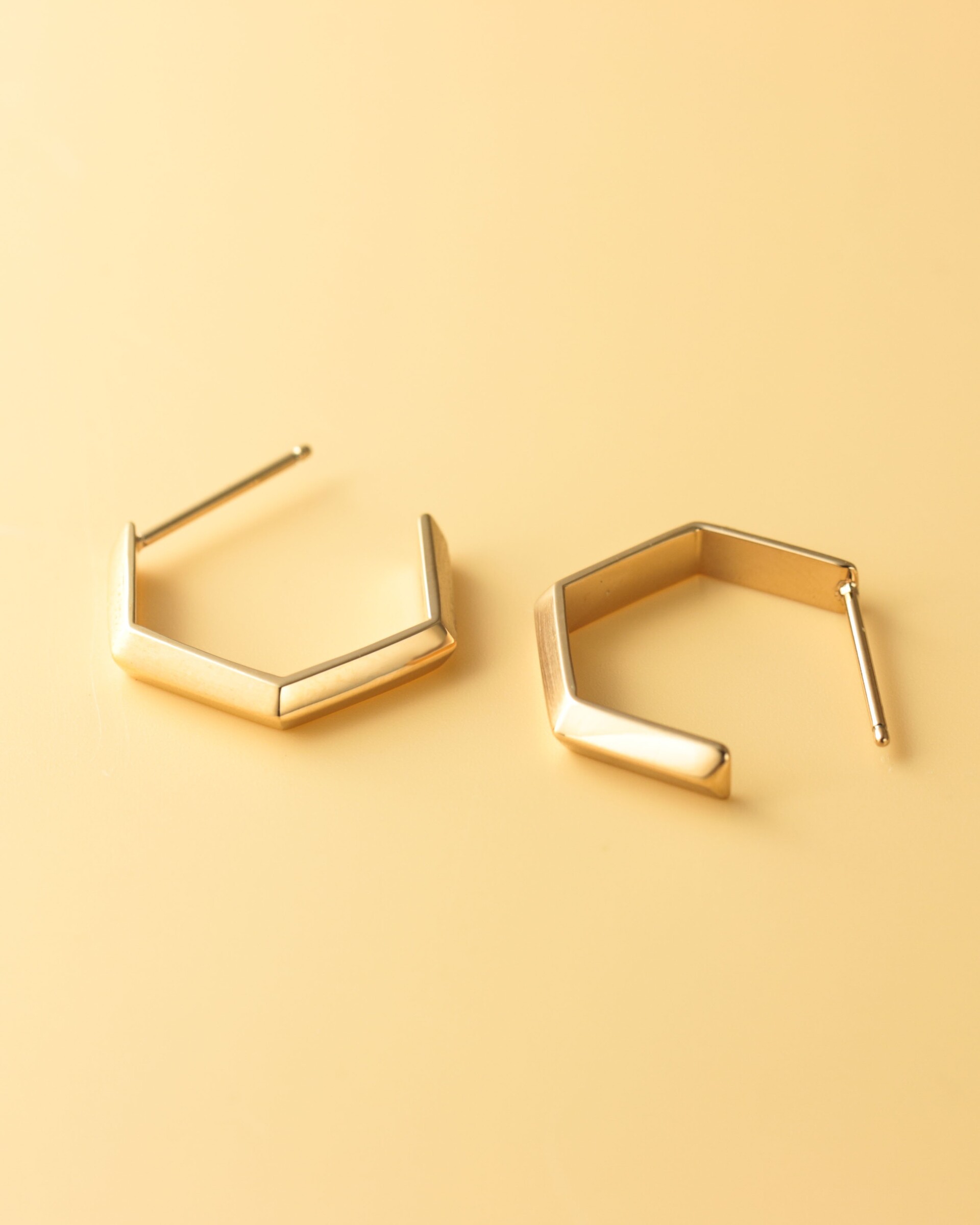 hexa-veil-earrings-316l-E1116_03