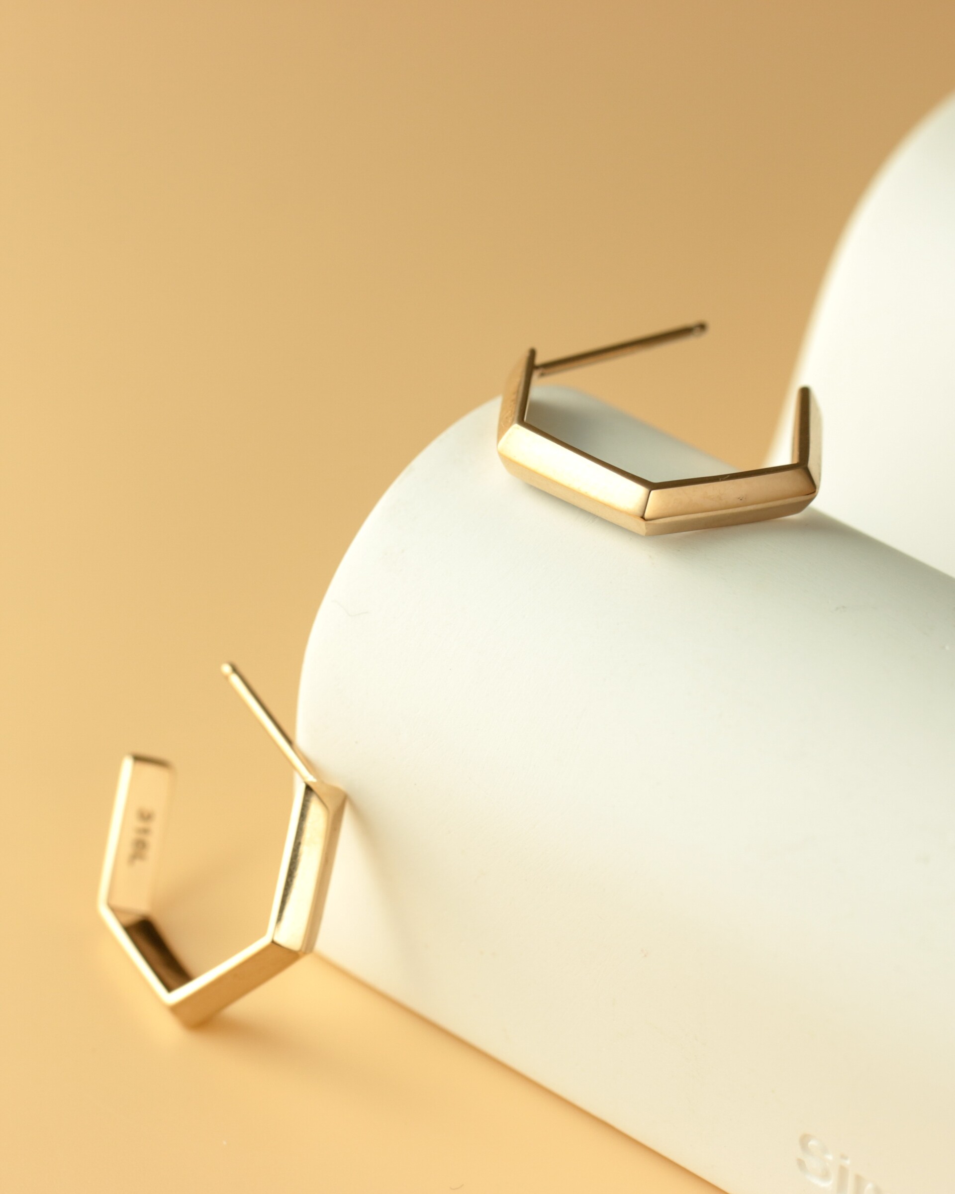 hexa-veil-earrings-316l-E1116_04