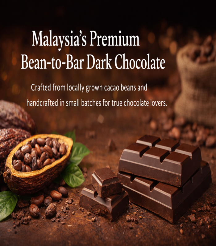 Pure Malaysian Cacao. Crafted with Purpose. | VIVE SNACK - Taste Real Malaysian Chocolate, Handcrafted Locally!