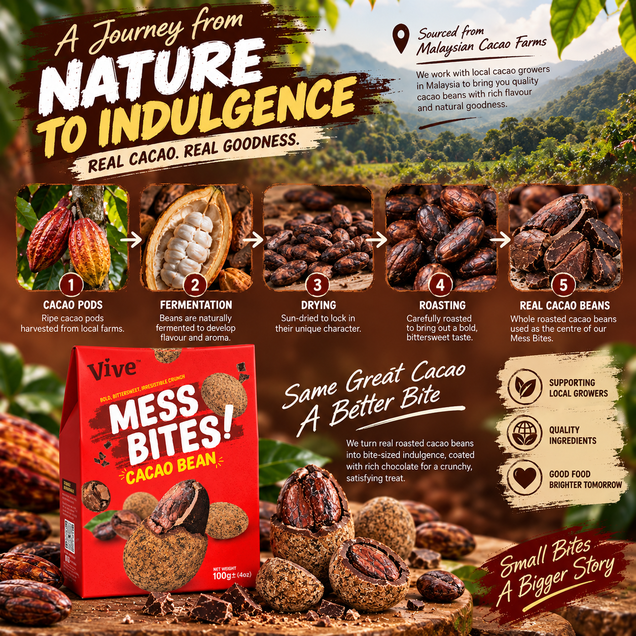 MB Cacao Bean (5)