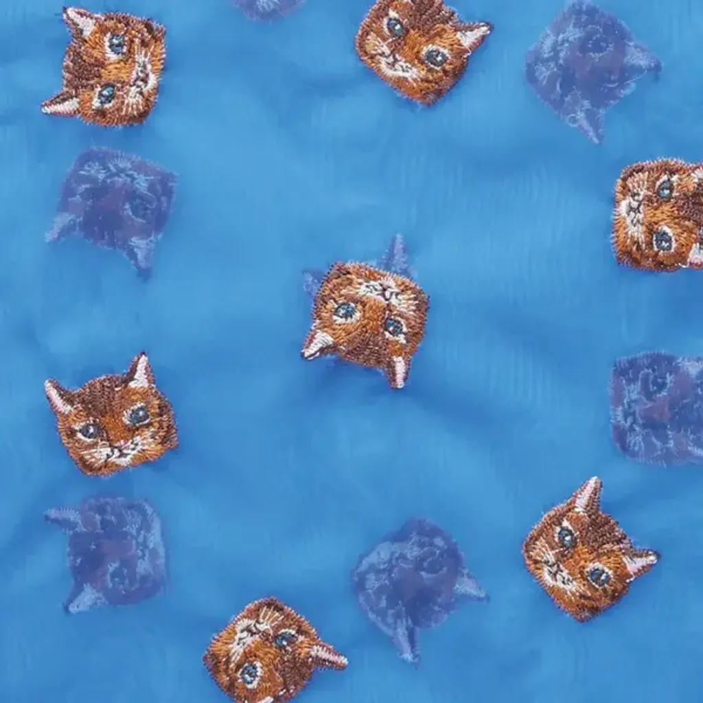 image_449F221E-26C3-4E6A-AABF-5544BBF776D8_1775632733