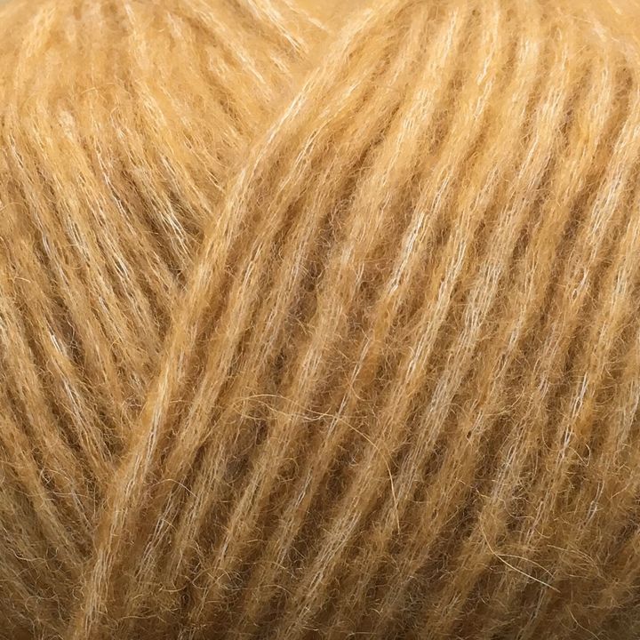 7384 GYLDEN SNEFNUG.jpg