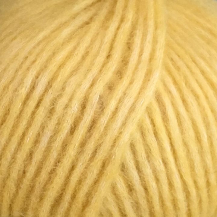 7862 CITRONGUL SNEFNUG.jpg