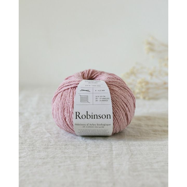 Robinson Barbe à Papa 2.jpg