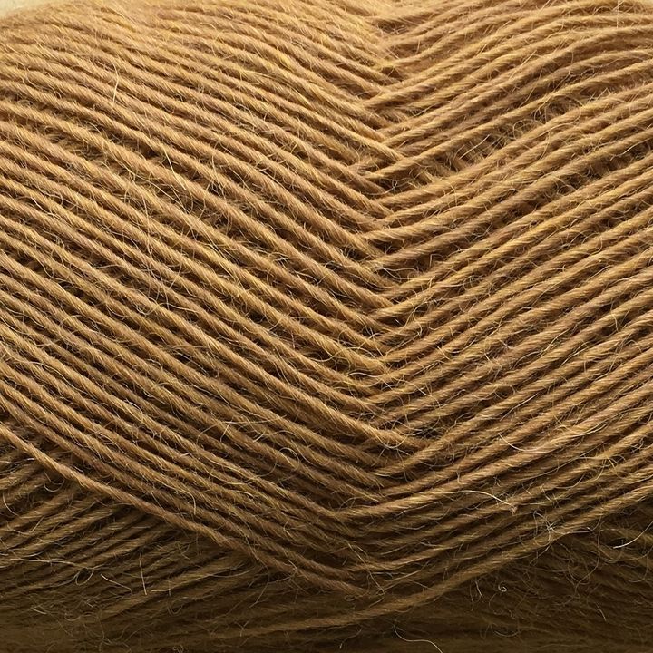 5028 CAMEL TYND LAMAULD