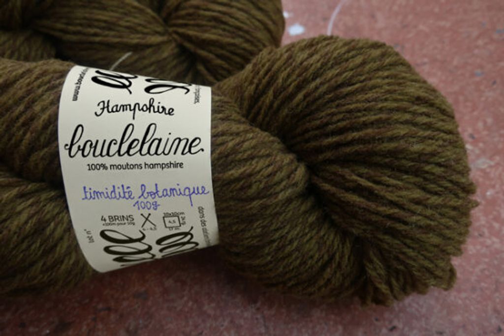 hampshire-worsted-laine-tricot-2-timidite-bontanique-2-bouclelaine-600x400