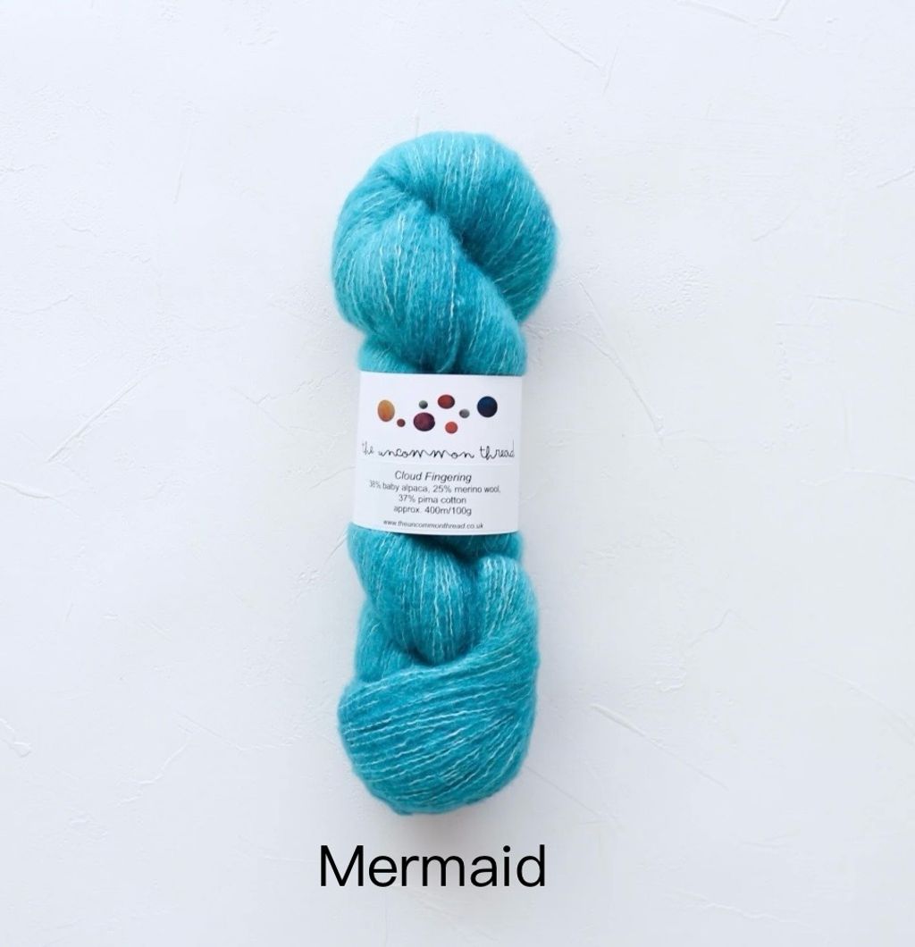 IMG_6586-1709022313156