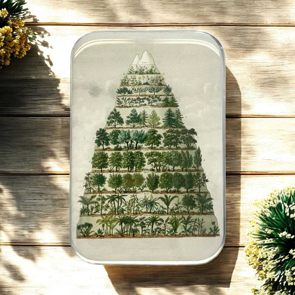 il_1588xN.7031769349_6d2y